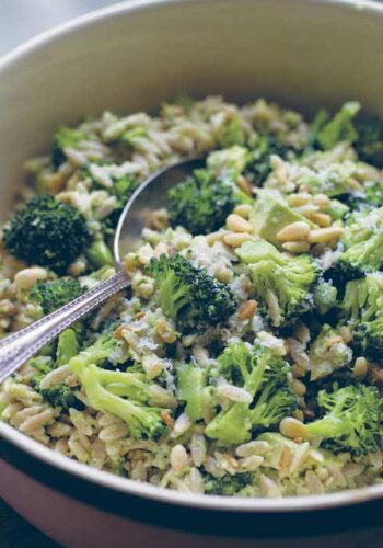 Whole Wheat Orzo Salad Recipe with Broccoli Pesto